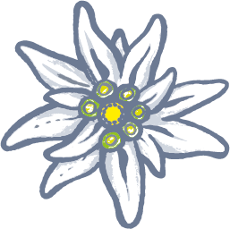 Edelweiss PNG-66293